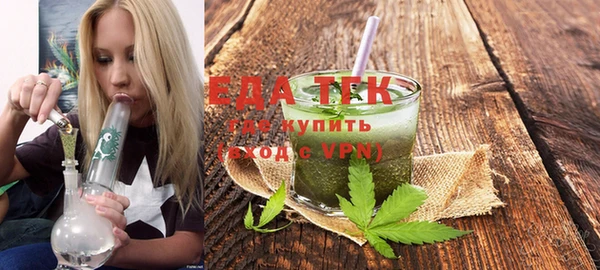 молекула духа Новозыбков