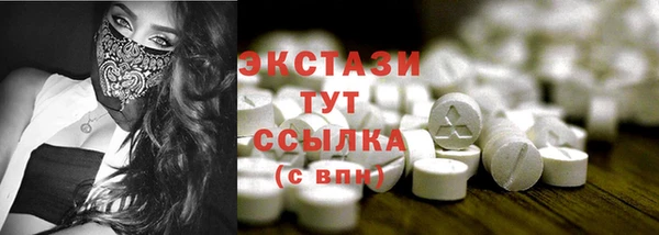 молекула духа Новозыбков