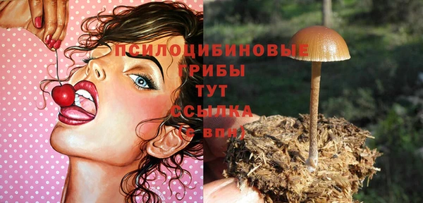 сатива Нея