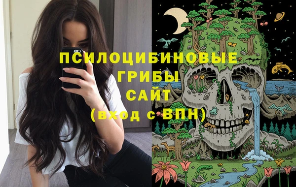 сатива Нея