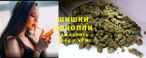 молекула духа Новозыбков