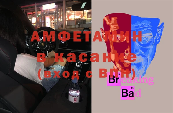 молекула духа Новозыбков