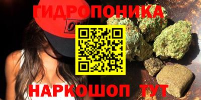сатива Беслан
