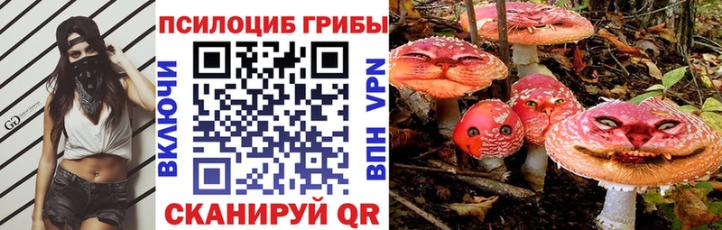 цены   Богданович  Галлюциногенные грибы ЛСД 