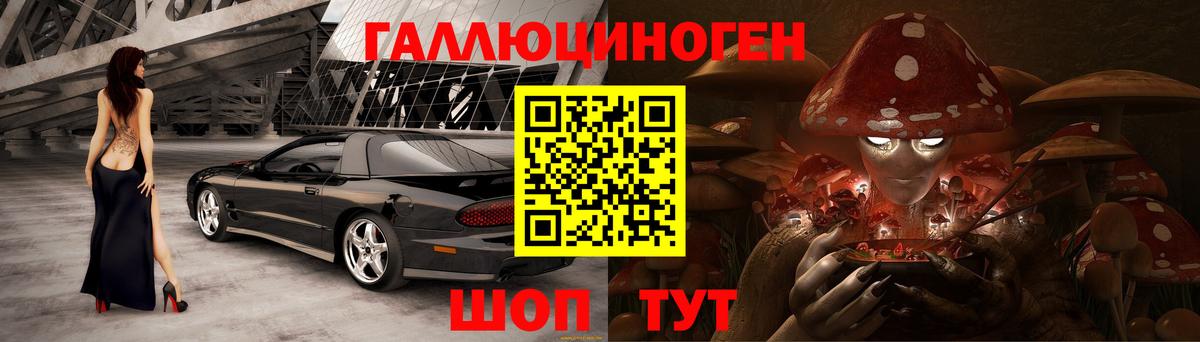 Галлюциногенные грибы Magic Shrooms  как найти   Богданович 