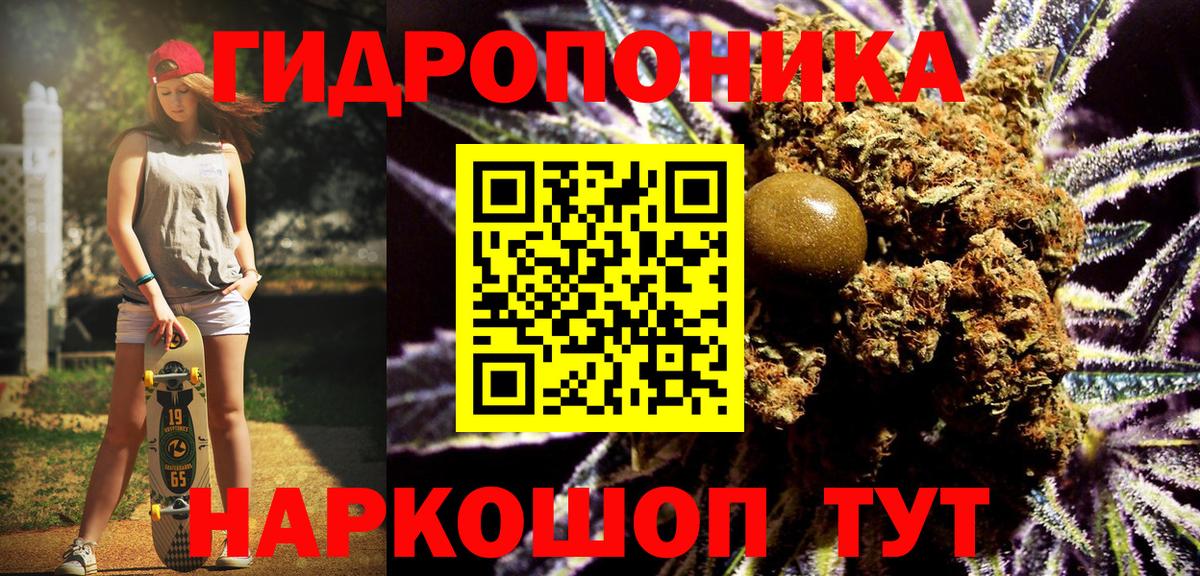 Марихуана индика  Богданович  Марихуана Amnesia 